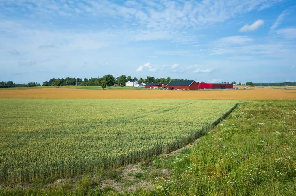 Gårdsbruk